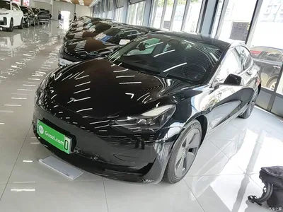 2022 Tesla Model 3 Model Rear-Wheel Drive Version, фото 2, лот 10369898