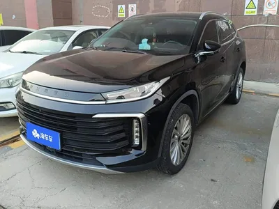 2021 Exeed Lingyun 290T 2WD Star Glory Edition, фото 1, лот 11148408