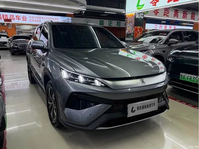 2025 BYD Song Pro New Energy 2nd Generation Smart Drive Edition DM-i 115KM Surpassing Type, фото 3, лот 11249446