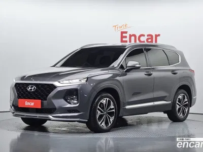 2019 Hyundai Santafe Diesel 2,0 4WD, фото 1, лот 10616754