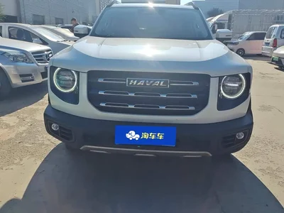 2022 Haval Big Dog 1.5T DCT FWD Border Collie Edition, фото 2, лот 10662415
