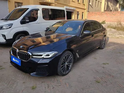2021 BMW 5 Series 530Li xDrive M Sport Package, фото 1, лот 11136261