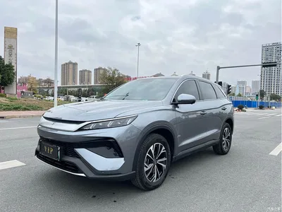 2025 BYD Song Pro New Energy 2nd Gen DM-i 75KM Leading Type, фото 1, лот 10272955