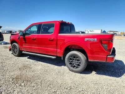 2025 FORD F150 XLT, фото 2, лот 10558199