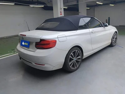 2018 BMW 2 Series (Import) 220i Convertible Coupe Sport Design Package, фото 3, лот 10895098
