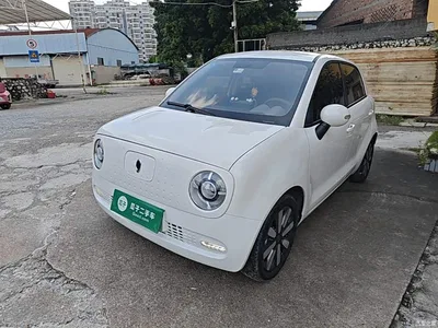 2019 Ora Black Cat 351km Family Edition, фото 2, лот 10330717