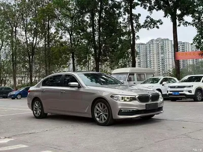 2018 BMW 5 Series 528Li Launch Special Edition, фото 3, лот 10482649