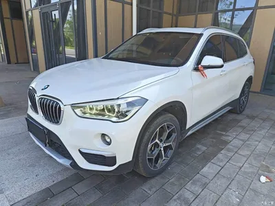 2018 BMW X1 xDrive20Li Premium Model, фото 2, лот 10471311