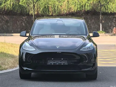 2021 Tesla Model Y Standard Range Rear-Wheel Drive, фото 2, лот 11192646