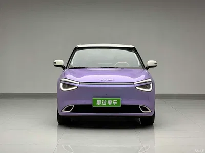 2024 Dongfeng Yipai Nano 01 430 Plus Smart+, фото 2, лот 10835412