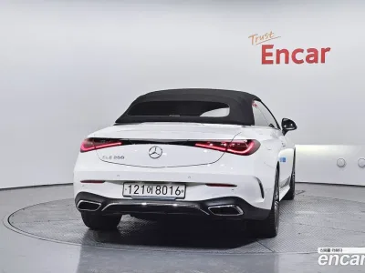 2024 Mercedes-Benz CLE-Class CLE200 Cabriolet, фото 3, лот 10042530