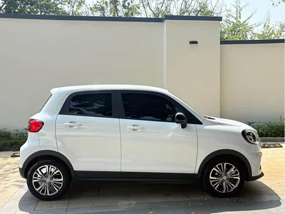 2022 Leapmotor T03 Special Edition, фото 2, лот 10316994