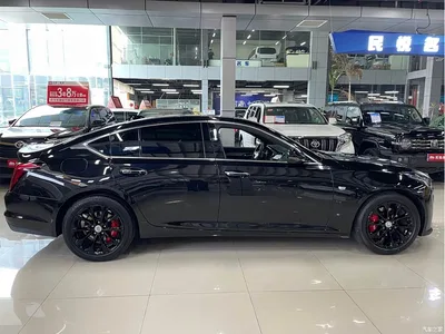2023 Cadillac CT5 28T Luxury Style (Standard Edition), фото 4, лот 10303221