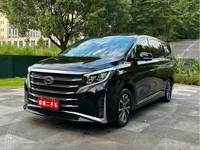 2021 GAC Trumpchi Trumpchi M8 Leading Show Series 390T Premium Edition, фото 1, лот 10418975