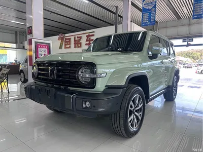 2023 Tank 300 Urban Edition 2.0T Very Stylish, фото 1, лот 10345085