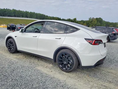 2021 TESLA MODEL Y, фото 2, лот 10993182