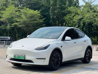 2021 Tesla Model Y Model Long Range AWD, фото 1, лот 11017377