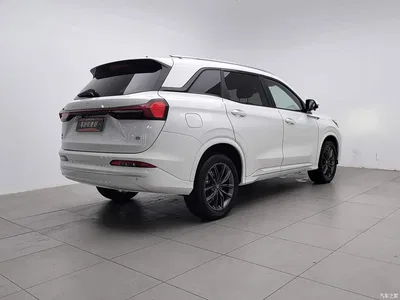 2023 Landian E5 1.5L DE-i 100KM Enjoyment 5-Seater, фото 2, лот 11649098
