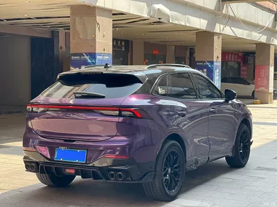 2021 Dongfeng Fengxing T5 EVO 1.5TD DCT Diamond Edition, фото 3, лот 11192471