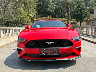2019 Ford Mustang 2.3L EcoBoost, фото 2, лот 10297816