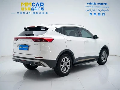 2021 Haval H6 National Trend Edition 1.5GDIT Automatic Champion Edition, фото 3, лот 10297230