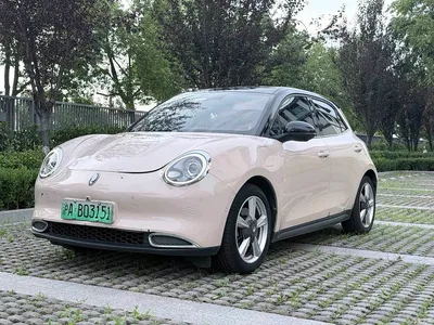 2021 Ora Good Cat 500km Long Range Poseidon Edition (NMC), фото 2, лот 11419920