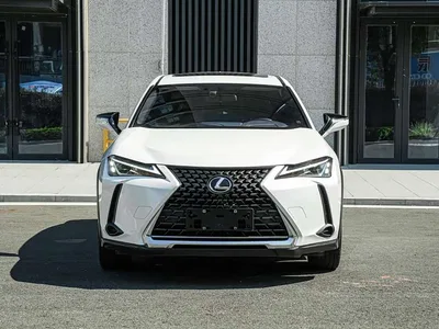 2020 Lexus UX 200 Special Edition, фото 2, лот 10318328