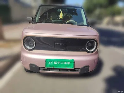 2023 Geely Galaxy Panda Mini 200km Endurance Bear, фото 2, лот 11545395