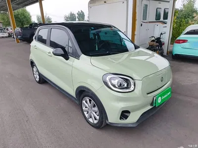 2022 Leapmotor T03 Golden Glory Edition, фото 4, лот 11137152