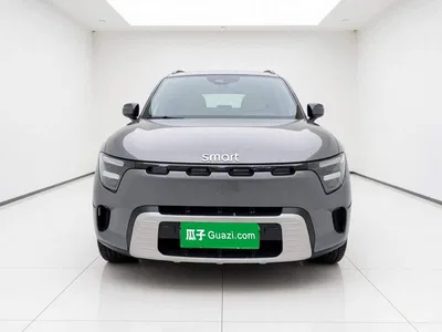 2026 smart Genie #5 Model 252km Standard Edition, фото 2, лот 10389721