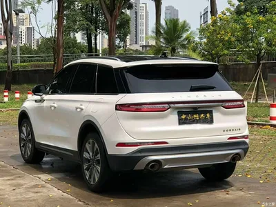 2022 Lincoln Adventurer 2.0T FWD Premium Luxury Edition, фото 4, лот 11459738