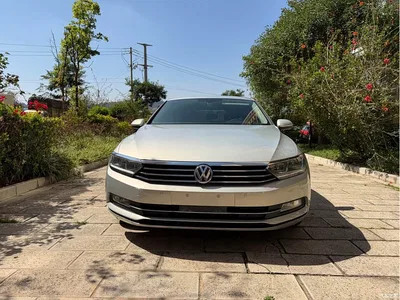 2018 Volkswagen Magotan 330TSI DSG Luxury, фото 2, лот 10410677
