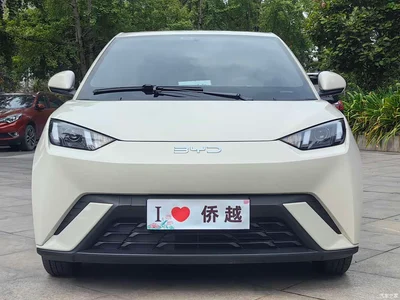 2024 BYD Seagull Glory Edition 305km Vitality Edition, фото 2, лот 10398016