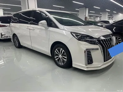 2020 Buick GL8 Model ES Landglory 653T Comfort, фото 3, лот 11488714
