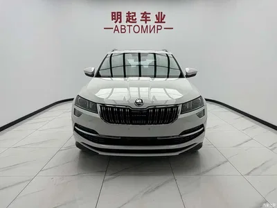 2022 Škoda Karoq TSI280 Luxury Edition, фото 2, лот 10349438