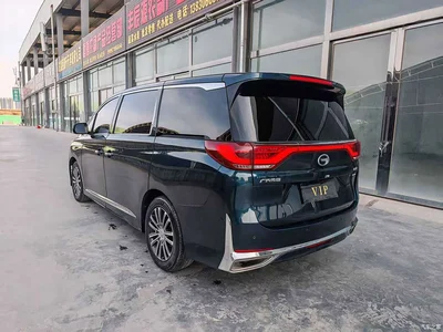 2021 GAC Trumpchi Trumpchi M8 Leading Show Series 390T Prestige Edition, фото 4, лот 11066996
