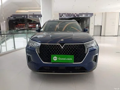 2020 Venucia Star 260T Automatic 48V Mild Hybrid Turbo Starlight Edition, фото 3, лот 11214694