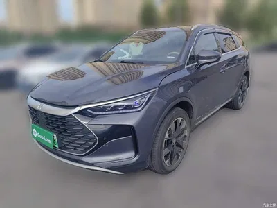 2024 BYD Tang New Energy Model DM-i Glory Edition 112KM Flagship Type, фото 1, лот 10273299