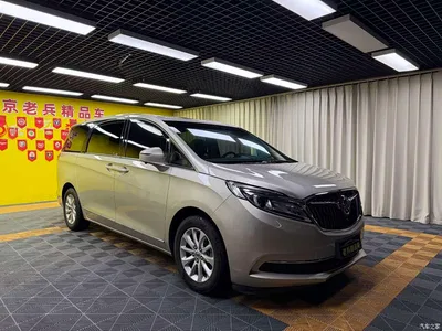 2017 Buick GL8, фото 3, лот 10243801