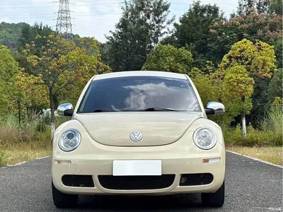 2010 Volkswagen Beetle Model 1.6 AT, фото 2, лот 10400295