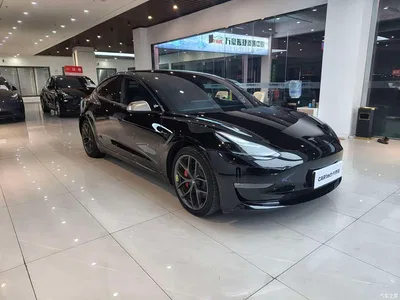 2021 Tesla Model 3 Performance High-Performance All-Wheel Drive, фото 3, лот 10766342