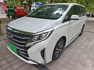 2021 GAC Trumpchi Trumpchi M8 Leading Show Series 390T Premium Edition, фото 2, лот 10425070