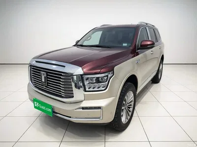 2022 Tank 500 3.0T Premium Custom Edition 5-Seater, фото 1, лот 10450176