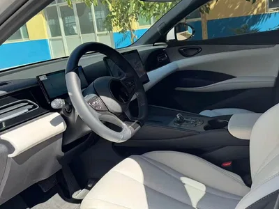 2024 BYD Seal 06 New Energy DM-i 80KM Prestige, фото 4, лот 10273551