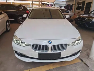 2018 BMW 3 Series 320Li Fashion Style, фото 3, лот 10457723