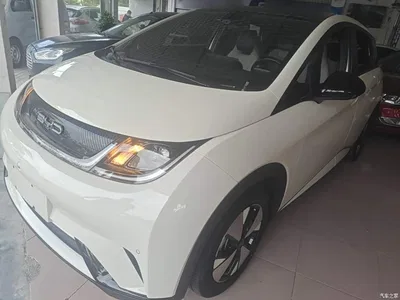 2023 BYD Dolphin 420km Fashion Edition, фото 2, лот 10521919