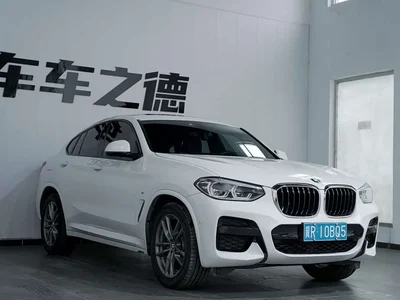 2019 BMW X4 xDrive25i M Sport Package, фото 2, лот 10476800