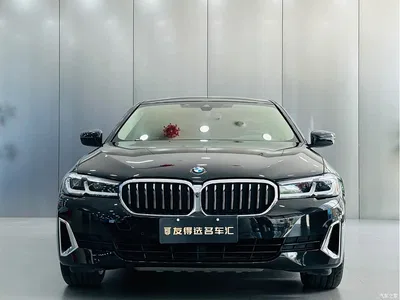 2021 BMW 5 Series 530Li Premium Luxury Package, фото 2, лот 10460037
