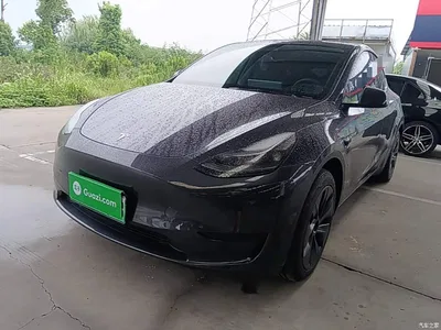 2024 Tesla Model Y Rear-Wheel Drive Version, фото 2, лот 10369925