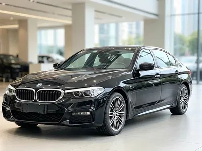 2018 BMW 5 Series 530Li Leading M Sport Package, фото 2, лот 11193383